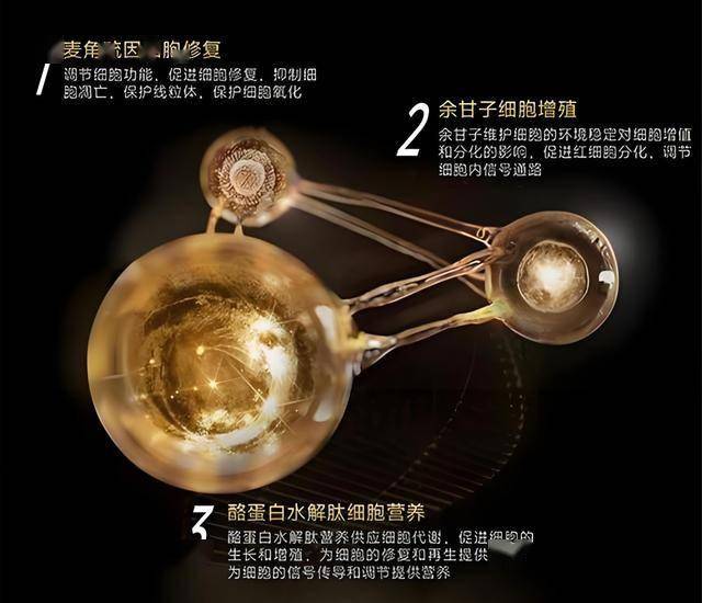 轻松掌握量化交易软件免费版，开启您理财新纪元的第一步